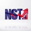 Логотип телеграм канала @northernstock_channel — Northern Stock Trader
