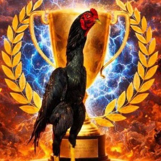 Telegram channel 🇺🇿ДОСТЛИК ХОРОЗЛАРИ🇺🇿 logo
