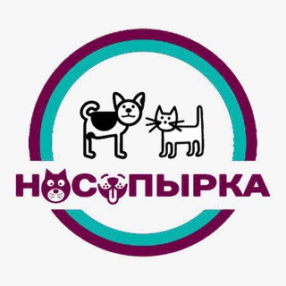 Логотип телеграм канала @nosopirkazoo — НОСОПЫРКА Зооканал