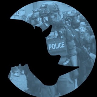 Логотип телеграм канала @nosorog_ch — НОСОРОГ 🦏
