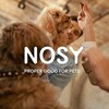 Логотип телеграм канала @nosypets — NOSY
