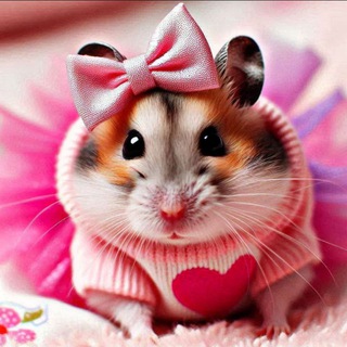 لوگوی کانال تلگرام not_pixel_iranii — ادلیست تون | ادلیست ناتکوین | ادلیست نات پیکسل