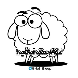 لوگوی کانال تلگرام not_sheep — لطفاً گوسفند نباشید !