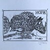 Логотип телеграм канала @nota_de_rodape — Примечания переводчика*
