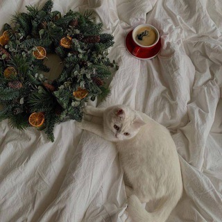 Логотип телеграм канала @notesbyteen — заметки подростка ❄️