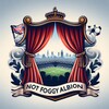 Логотип телеграм канала @notfoggyalbion — Не туманный Альбион