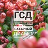 Логотип телеграм канала @notgsd_food — ▫️ГСД рецепты▫️(гестационный сахарный диабет)