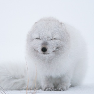 Логотип телеграм канала @nothingbutcoding — Nothing but Coding