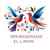 Logo of telegram channel noticiasregionalesellimon1 — Noticias Regionales el limón