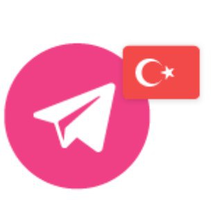 Logo del canale telegramma notizieturchia - Notizie Turchia