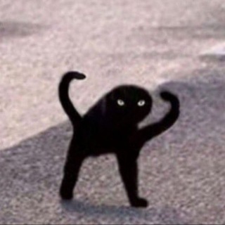 Telegram kanalining logotibi notpornbut6101734 — Mr.Chappa