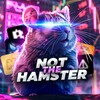 Telegram channel Not The Hamster 🐹 logo
