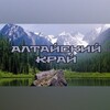 Логотип телеграм канала @nov22reg — Говорит Алтайский край