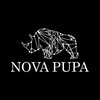 Logo of telegram channel novapupaannouncement — Nova Pupa Announcement channel