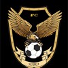 Логотип телеграм канала @novkafc — FC Новка