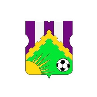 Логотип телеграм канала @novokosfut — Футбол в Новокосино
