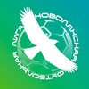 Логотип телеграм канала @novolak_liga — НОВОЛАК ЛИГА