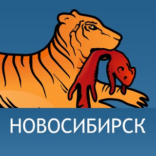 Логотип телеграм канала @novosib_24 — Новосибирск. Дальше некуда