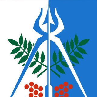 Логотип телеграм канала @novosti_izhevsk — Новости Ижевск