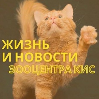 Логотип телеграм канала @novosti_kis — Жизнь Зооцентра КиС🦮🐈