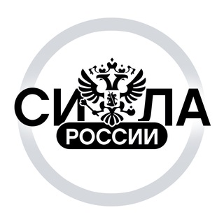 Telegram channel СИЛА РОССИИ logo