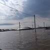Логотип телеграм канала @novosti_duboviyples — Дубовый плес! Новости!