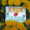 Telegram channel Рыбацкое - Невский район logo