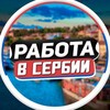 Логотип телеграм канала @novosti_vakansii — Работа в Сербии | Белграде