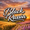 Логотип телеграм канала @novostnikblackrassia — Black Russia | Новостник
