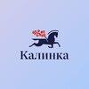 Логотип телеграм канала @novostroyki_kalinka — Новостройки Премиум | Калинка