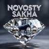 Логотип телеграм канала @novosty_sakha — NOVOSTY SAKHA
