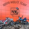Logo of telegram channel novowolfs — NW