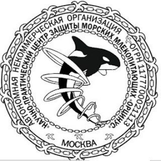 Логотип телеграм канала @npczmm_orcinus — ОРЦИНУС