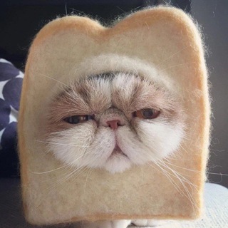 Telegram channel И смех и мех 🐾 logo
