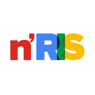 Логотип телеграм канала @nris_ru — n’RIS