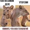 Логотип телеграм канала @nrusskiy — Нерусский РУССКИЙ