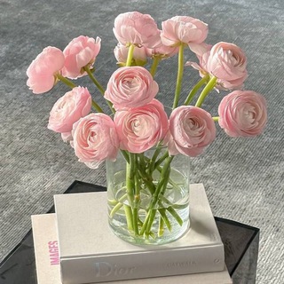 Telgraf kanalının logosu nrzbvl — Сары дөңгелек 🩰