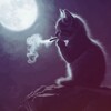 Логотип телеграм канала @ns1h4 — ᜬᠻᜥᝨᝪᜣ𐍃