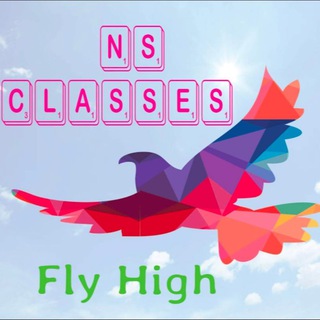 Logo saluran telegram nsclasses_12345 — NS CLASSES