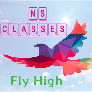 Telegram channel NS CLASSES logo