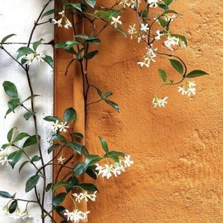 لوگوی کانال تلگرام nskxodg284637a — اطمئن💛🌼