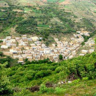 لوگوی کانال تلگرام nsnar — هــــــەوارگــــەو نــــەســـەنـــــاری