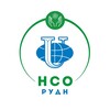 Логотип телеграм канала @nso_rudn — НСО РУДН