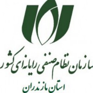 لوگوی کانال تلگرام nsrmazand — اعضای سازمان نظام صنفی رایانه ای مازندران