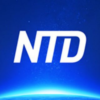 Логотип телеграм -каналу ntdtv_ua — NTD Ukraine