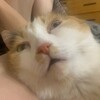 Логотип телеграм канала @nuacho000 — ну а че