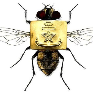 Логотип телеграм канала @nuclear_booger — Бляха-муха
