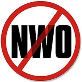 Logo of telegram channel nuevoordenmundial_canal — 🚫 Nuevo Orden Mundial 🗣