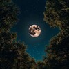Telegram арнасының логотипі nuko_ez — ʙᴀᴛᴛʟᴇ ɴᴜsɪᴋ