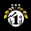 Логотип телеграм канала @nul1biz — Из Нуля в Единицы • Бизнес и Финансы